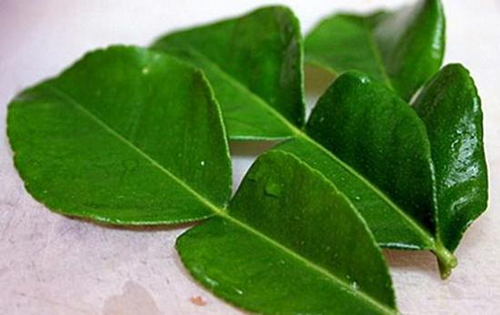 Lá chanh Thái Lan bán ở TPHCM giá đắt không ngờ ảnh 1