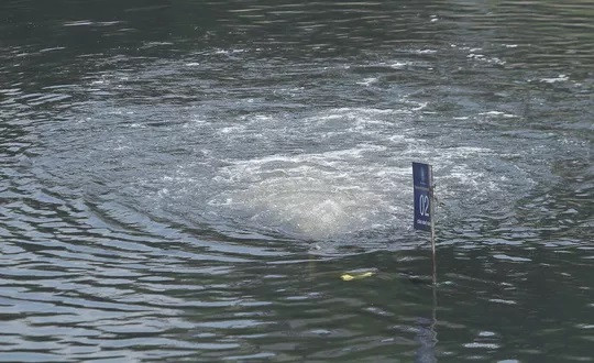 Công ty Thoát nước Hà Nội 'trần tình' việc xả nước hồ Tây vào sông Tô Lịch ảnh 2