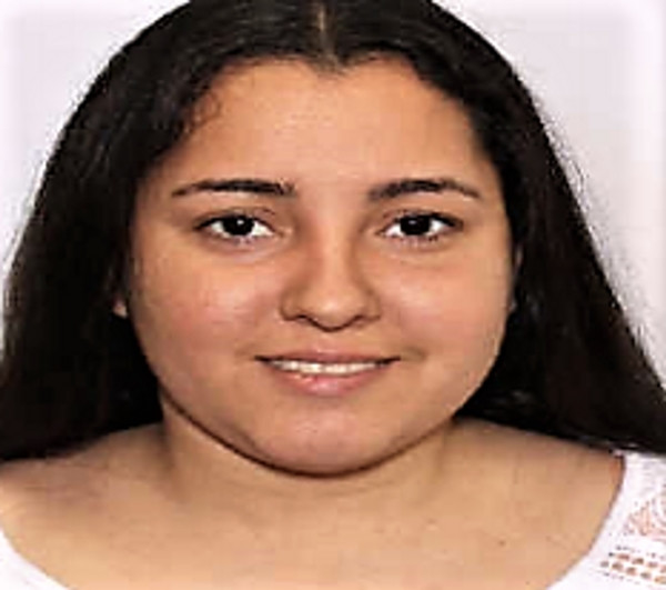 Người phụ nữ Mỹ ném rắn vào tài xế để trộm xe ảnh 1