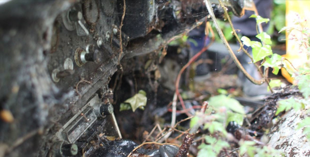 Xe sang bị 'bỏ quên' trong rừng 30 năm được định giá bạc tỷ ảnh 5