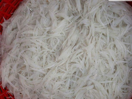 Dân Hà Nội săn mua cá sông Đà 'thân trắng tinh, mềm như bún' ảnh 3