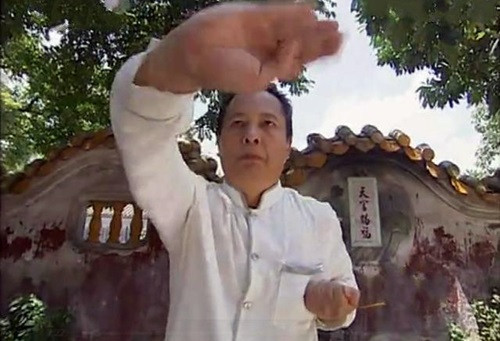 Cao thủ Vịnh Xuân chỉ ra điểm yếu của Từ Hiểu Đông ảnh 1