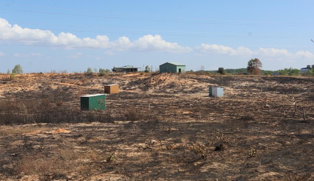 Các hộ dân tố cây trồng của họ tại khu đất phường Phú Hài bị kẻ lạ mặt đốt phá. Ảnh: C.H. Các hộ dân tố cây trồng của họ tại khu đất phường Phú Hài bị kẻ lạ mặt đốt phá. Ảnh: C.H.