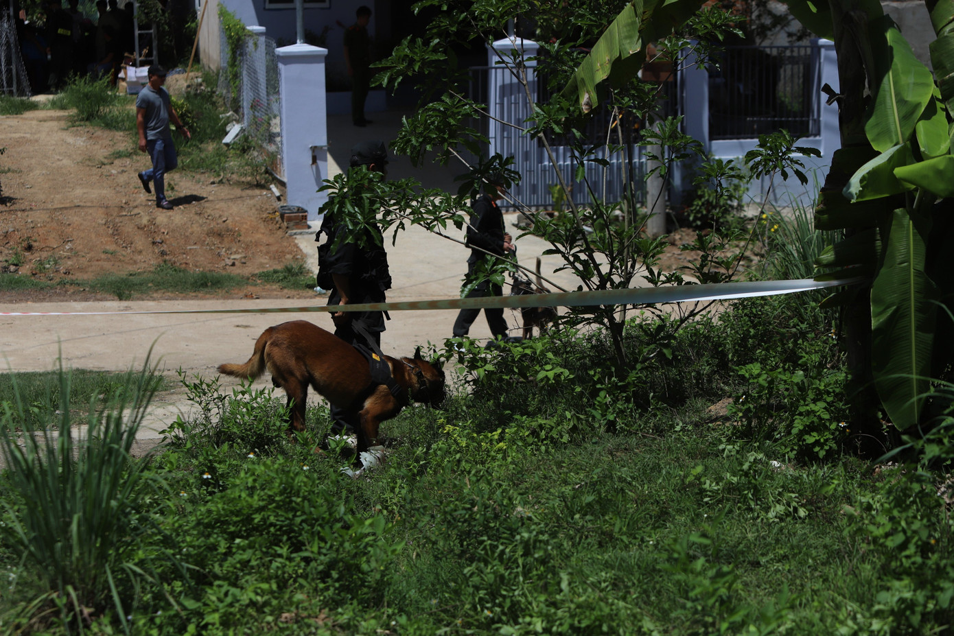 Lực lượng công an đưa chó nghiệp vụ truy tìm nghi phạm Phan Danh Hưng. Ảnh: L.H.