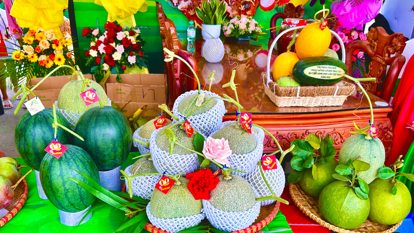 Sản phẩm trái cây đặc trưng của huyện Ninh Sơn.