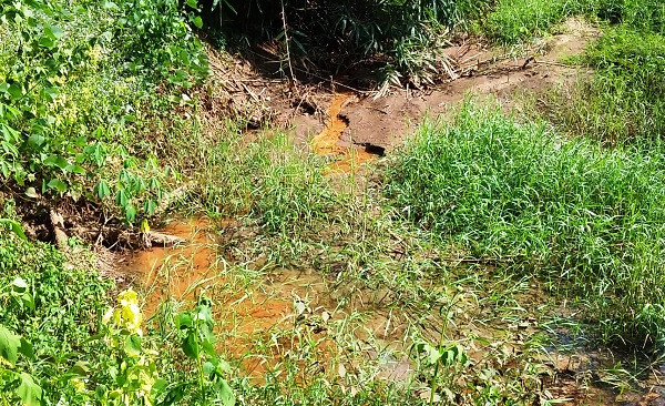 Dân xã Kon Đào 'chết mòn' trong ô nhiễm ảnh 2