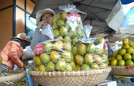 Hồng Trung Quốc ‘giết’ hồng Đà Lạt ảnh 1