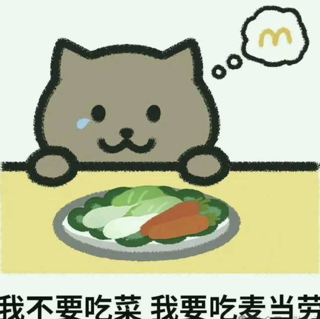 Ảnh đại diện tài khoản của Mèo Béo là meme ghi dòng chữ "không muốn ăn rau, muốn ăn McDonald's" khơi dậy sự thương cảm của nhiều người.
