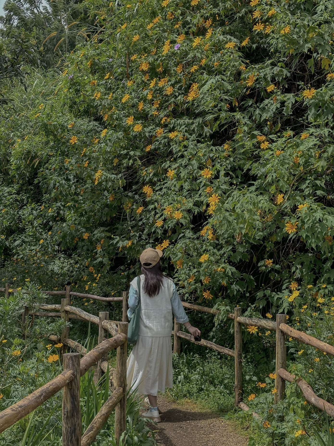 Ảnh: Dila Phan Ảnh: Dila Phan