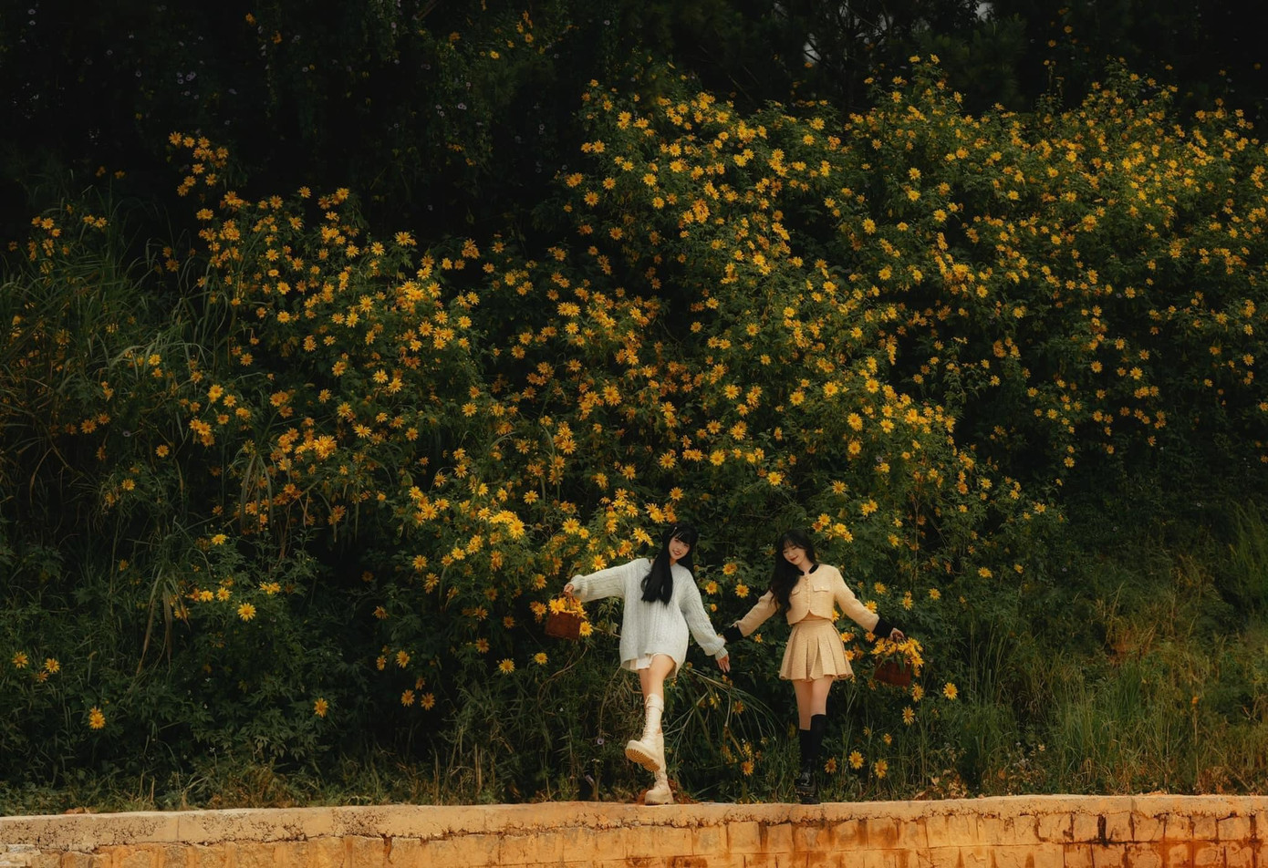 Ảnh: Đồng Ngô Ảnh: Đồng Ngô