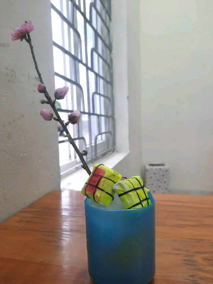 Một cành đào nhỏ cũng đủ làm nên không khí Xuân về tại một góc bàn học của teen. - Ảnh: Hoàng Ngọc Emm Một cành đào nhỏ cũng đủ làm nên không khí Xuân về tại một góc bàn học của teen. - Ảnh: Hoàng Ngọc Emm