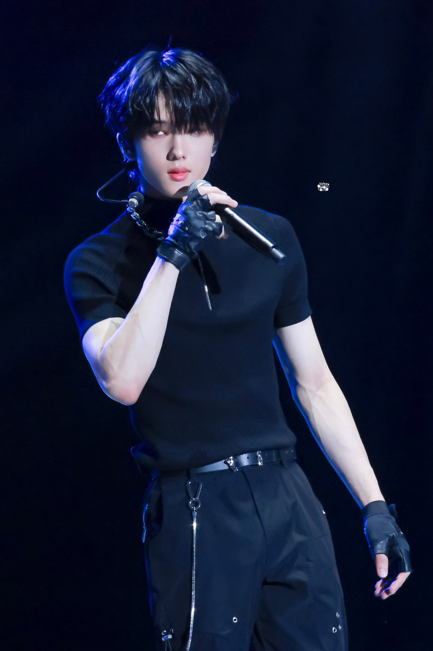 Ảnh: JSYS, 2Pigs Ảnh: JSYS, 2Pigs