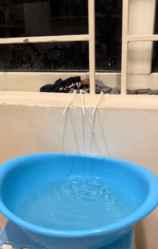 Ảnh chụp màn hình TikTok @tamanh1488