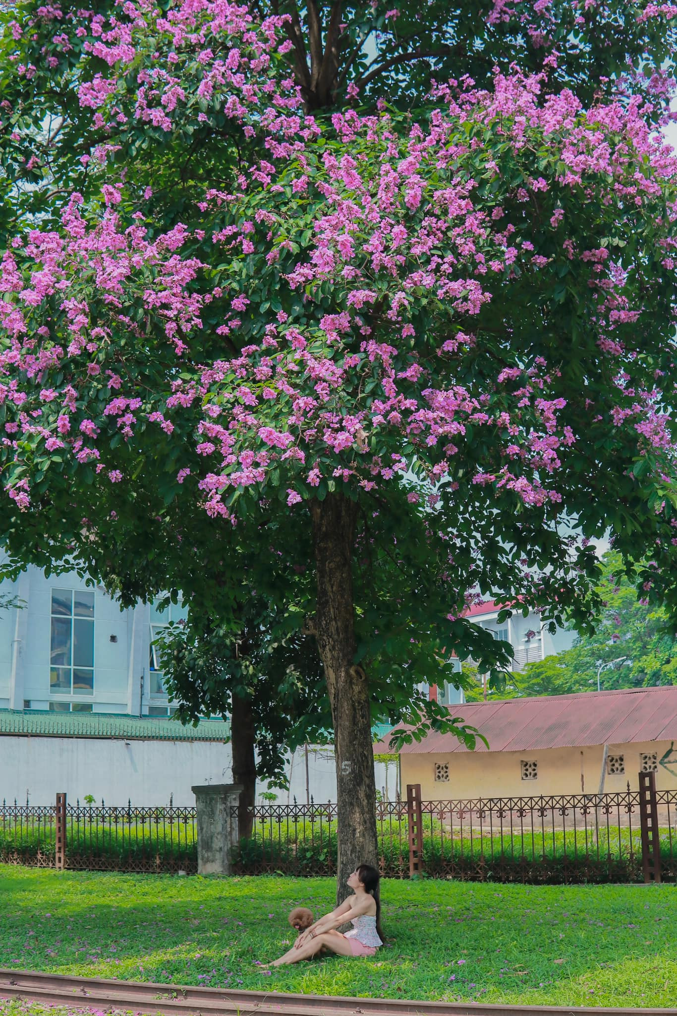 Ảnh: FB Hồng Vân Ảnh: FB Hồng Vân