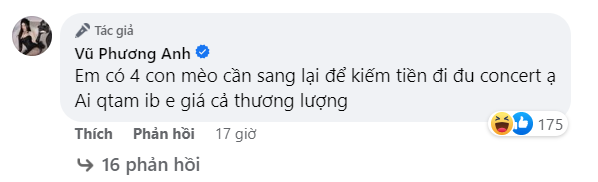 Jun Vũ với dòng trạng thái hài hước “bất chấp” bán cả mèo cưng để có được tấm vé dự concert của BLACKPINK.