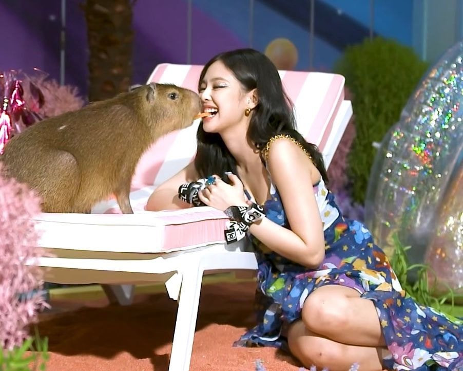 5 năm trôi qua, Jennie vẫn mê việc đút cà rốt cho capybara bằng miệng.