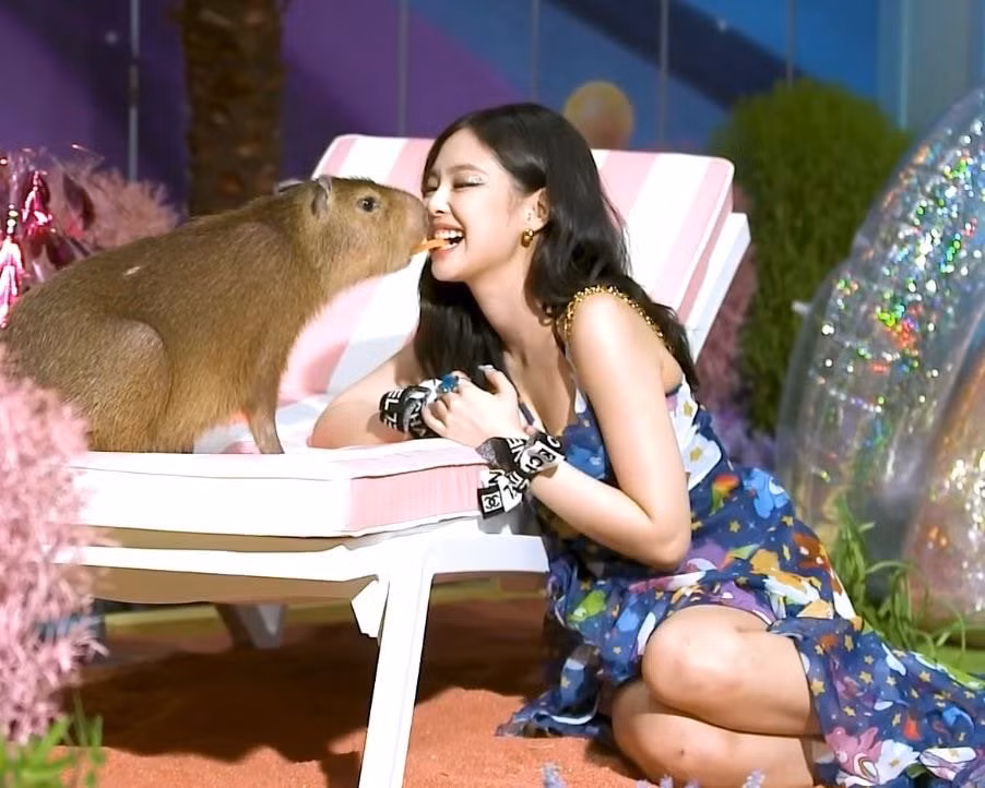 5 năm trôi qua, Jennie vẫn mê việc đút cà rốt cho capybara bằng miệng.
