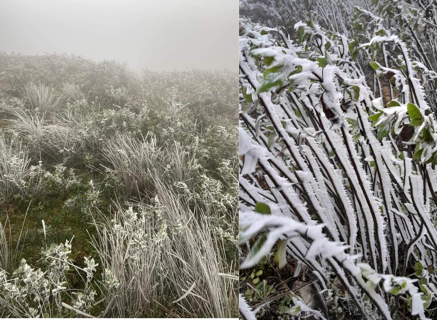 Ảnh: Xuân Thành/ Tuổi Trẻ Online