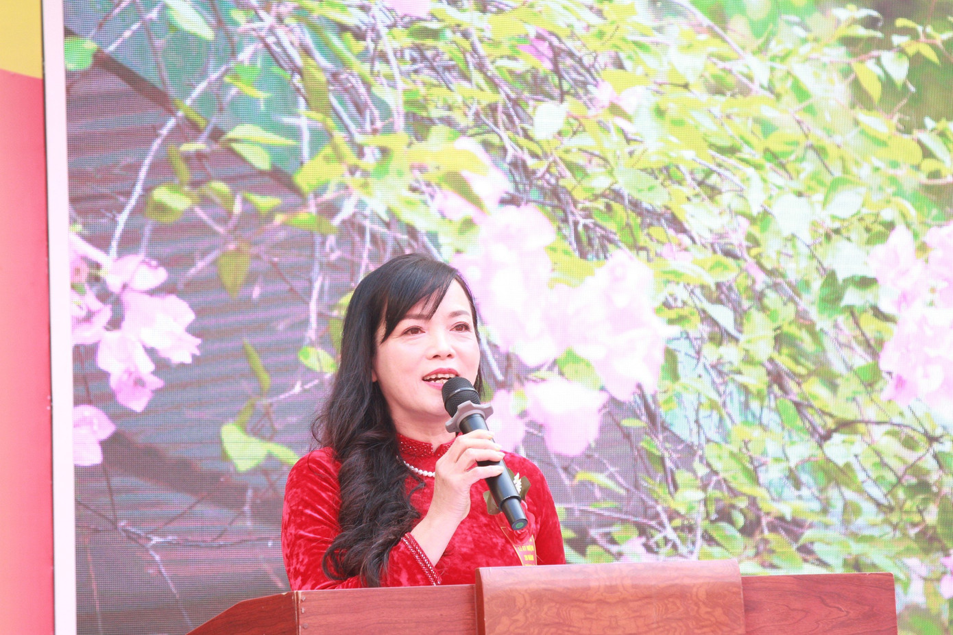 Cô Trần Thị Thanh Vân - Hiệu trưởng nhà trường