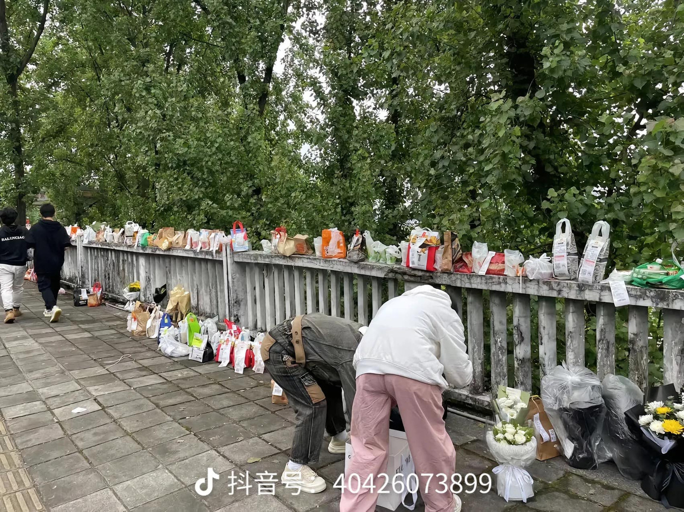 Hoa và đồ ăn để kín trên cây cầu mà Mèo Béo gieo mình xuống.