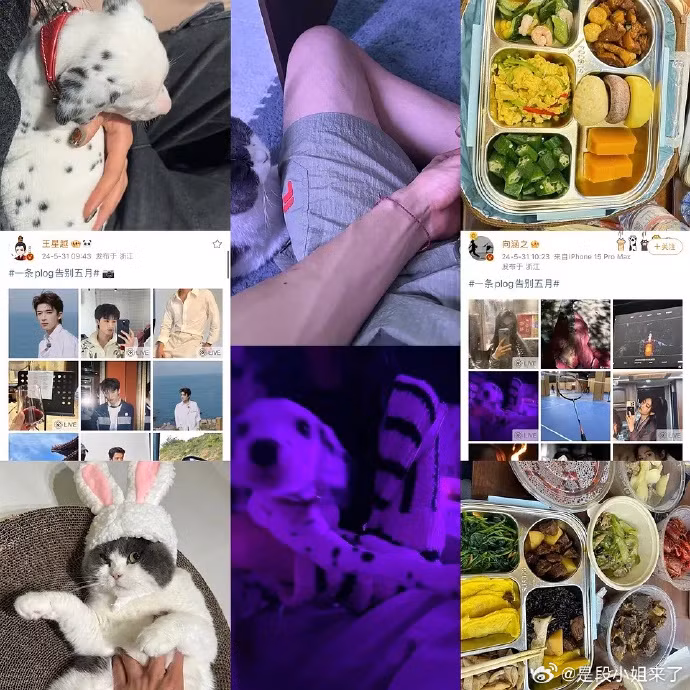 Một trong những hình ảnh bằng chứng mà blogger đăng tải, cho là tương đồng của Vương Tinh Việt và Hướng Hàm Chi.