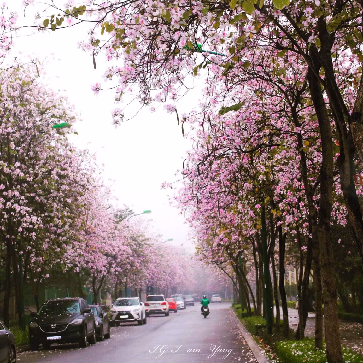 Ảnh: Thùy Dương