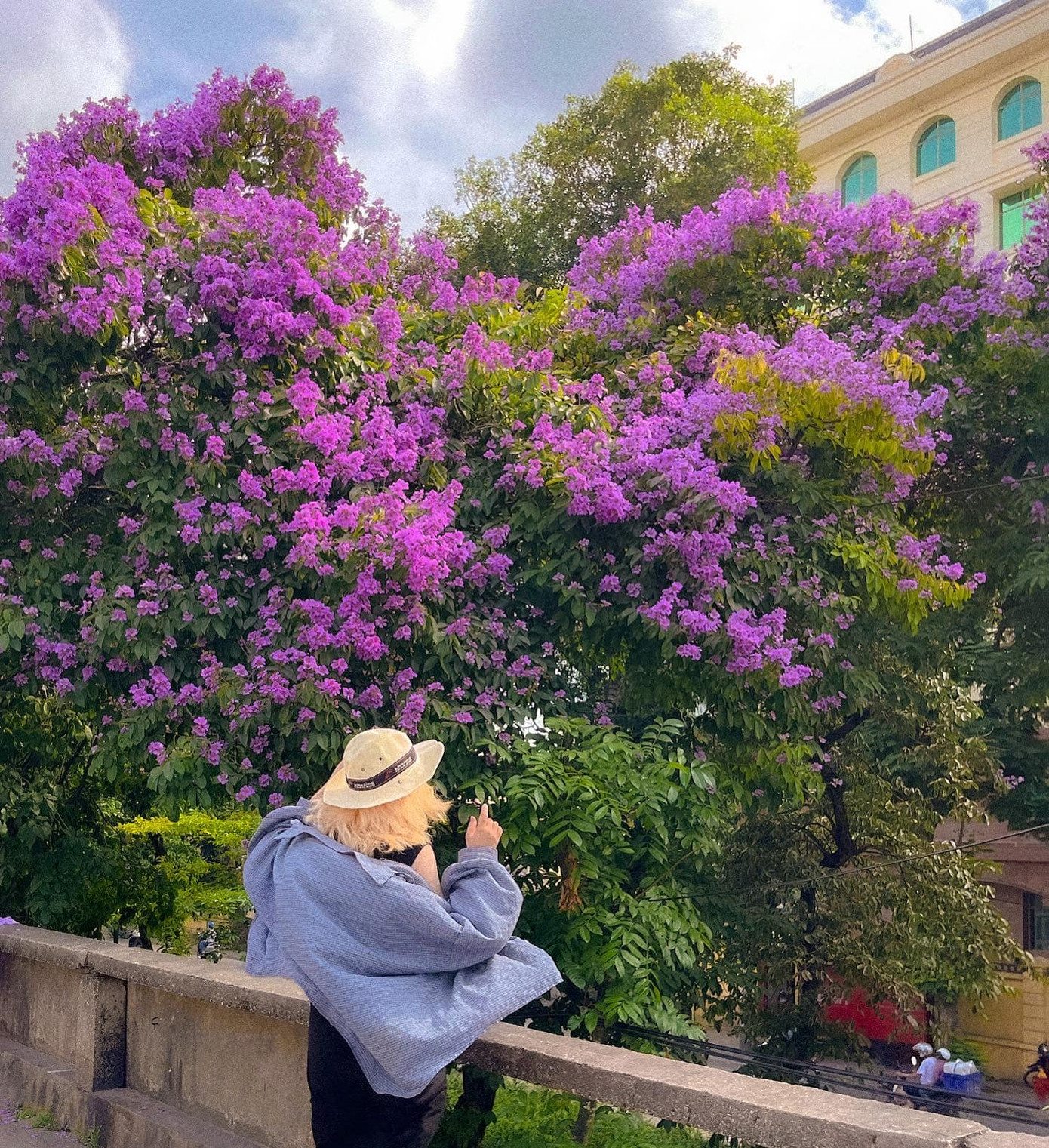 Gần như năm nào bằng lăng nở, đoạn đường đê Nguyễn Khoái - Trần Khát Chân cũng là điểm "sống ảo" hot. Bởi bằng lăng mọc cao, hoa ngả ra vỉa hè rất dễ "bắt góc". - Ảnh: FB Cừu Bé Gần như năm nào bằng lăng nở, đoạn đường đê Nguyễn Khoái - Trần Khát Chân cũng là điểm "sống ảo" hot. Bởi bằng lăng mọc cao, hoa ngả ra vỉa hè rất dễ "bắt góc". - Ảnh: FB Cừu Bé