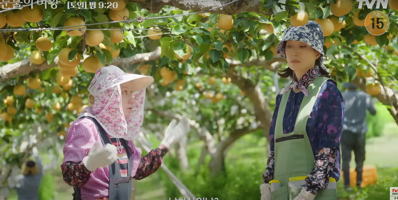 Gia đình của Hong Hae In có lẽ cũng sẽ nông trại để phụ giúp nhà Hyun Woo trong tập 10. Gia đình của Hong Hae In có lẽ cũng sẽ nông trại để phụ giúp nhà Hyun Woo trong tập 10.