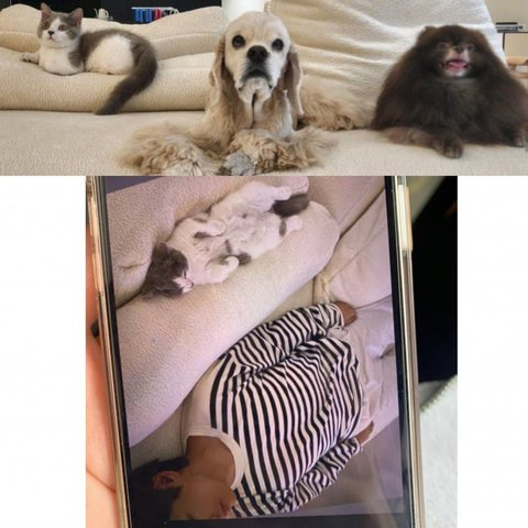 Bức ảnh bị leak được cho là V (BTS). Bức ảnh bị leak được cho là V (BTS).