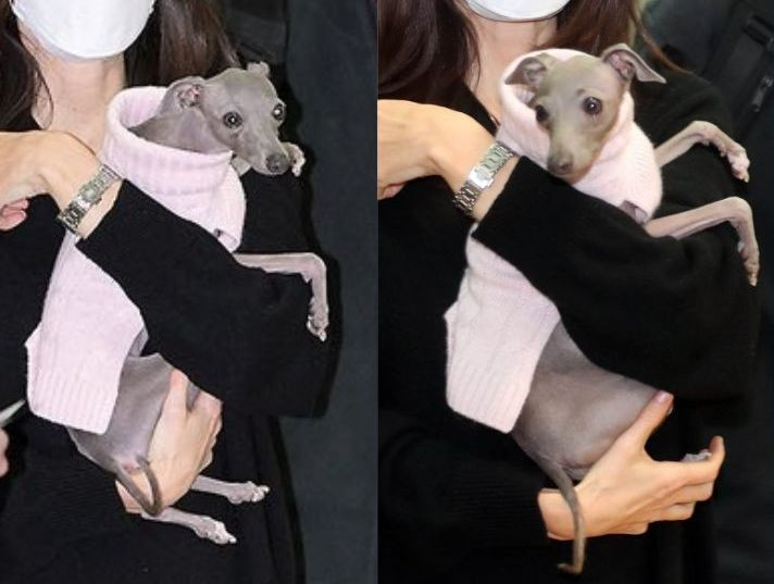 Nalla: "Ủa, ủa gì dợ?"