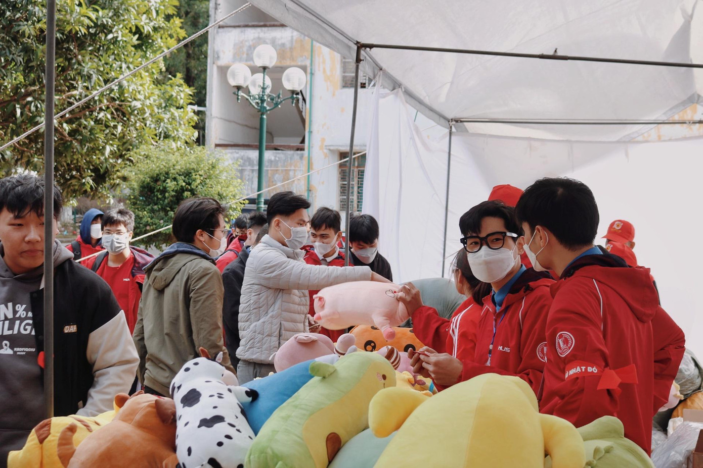 Những chú gấu bông được chuẩn bị để làm phần quà cho các sinh viên tham gia hiến máu.