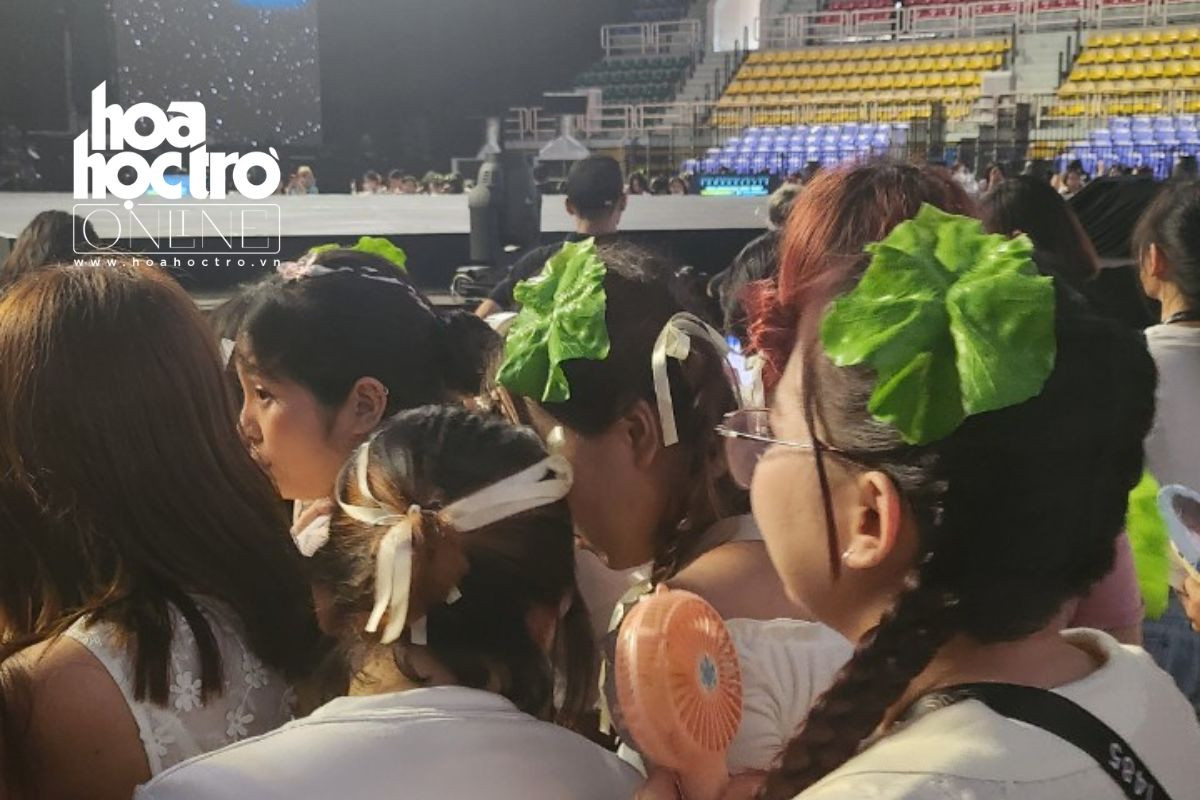 "Xà lách" thậm chí còn trở thành tên gọi fandom không chính thức của người hâm mộ Việt khi tới concert của Baekhyun. "Xà lách" thậm chí còn trở thành tên gọi fandom không chính thức của người hâm mộ Việt khi tới concert của Baekhyun.