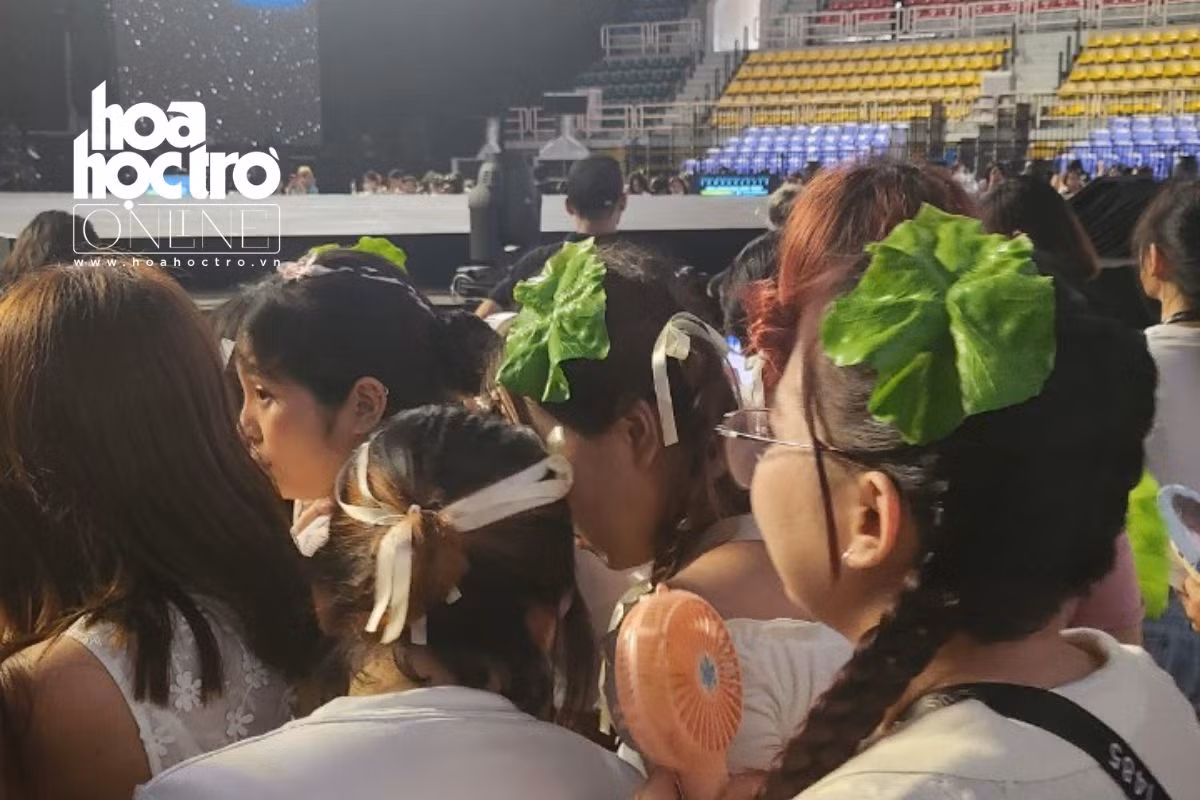 "Xà lách" thậm chí còn trở thành tên gọi fandom không chính thức của người hâm mộ Việt khi tới concert của Baekhyun.