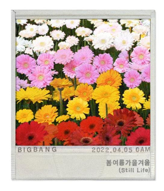 Tấm polaroid thứ hai hé lộ tên ca khúc. Tên tiếng Hàn của bài hát này mang nghĩa Xuân, Hạ, Thu, Đông. Vì vậy, tấm ảnh có chứa 4 sắc hoa như tượng trưng cho 4 mùa. Tấm polaroid thứ hai hé lộ tên ca khúc. Tên tiếng Hàn của bài hát này mang nghĩa Xuân, Hạ, Thu, Đông. Vì vậy, tấm ảnh có chứa 4 sắc hoa như tượng trưng cho 4 mùa.