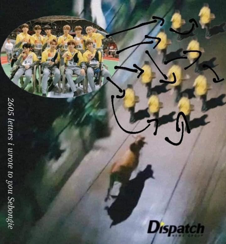 Không chỉ một người, có đến 10 thành viên của SEVENTEEN bị chú bó này đuổi theo. - Nguồn: 2605 letters i wrote to you Sebongie