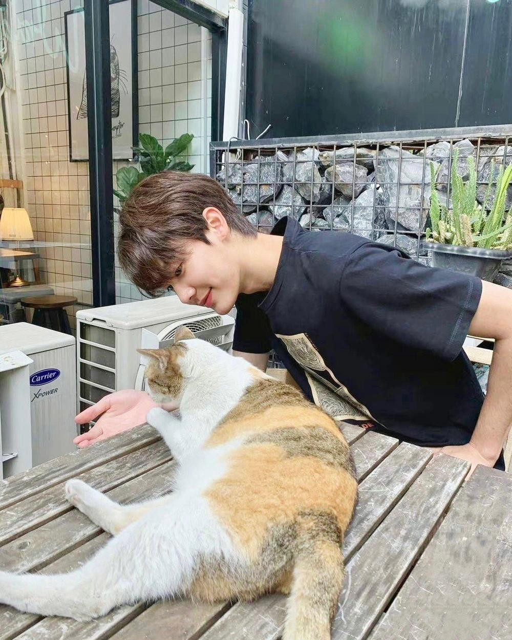 Tuy nhiên, Dew cũng khiến trái tim fangirl "mềm xèo" với những khoảnh khắc chơi đùa đáng yêu bên mèo cưng. Tuy nhiên, Dew cũng khiến trái tim fangirl "mềm xèo" với những khoảnh khắc chơi đùa đáng yêu bên mèo cưng.