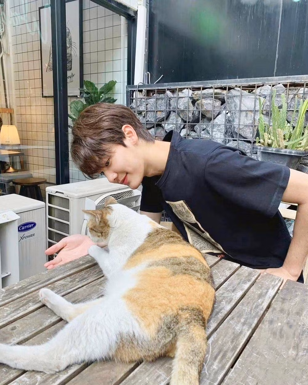 Tuy nhiên, Dew cũng khiến trái tim fangirl "mềm xèo" với những khoảnh khắc chơi đùa đáng yêu bên mèo cưng.