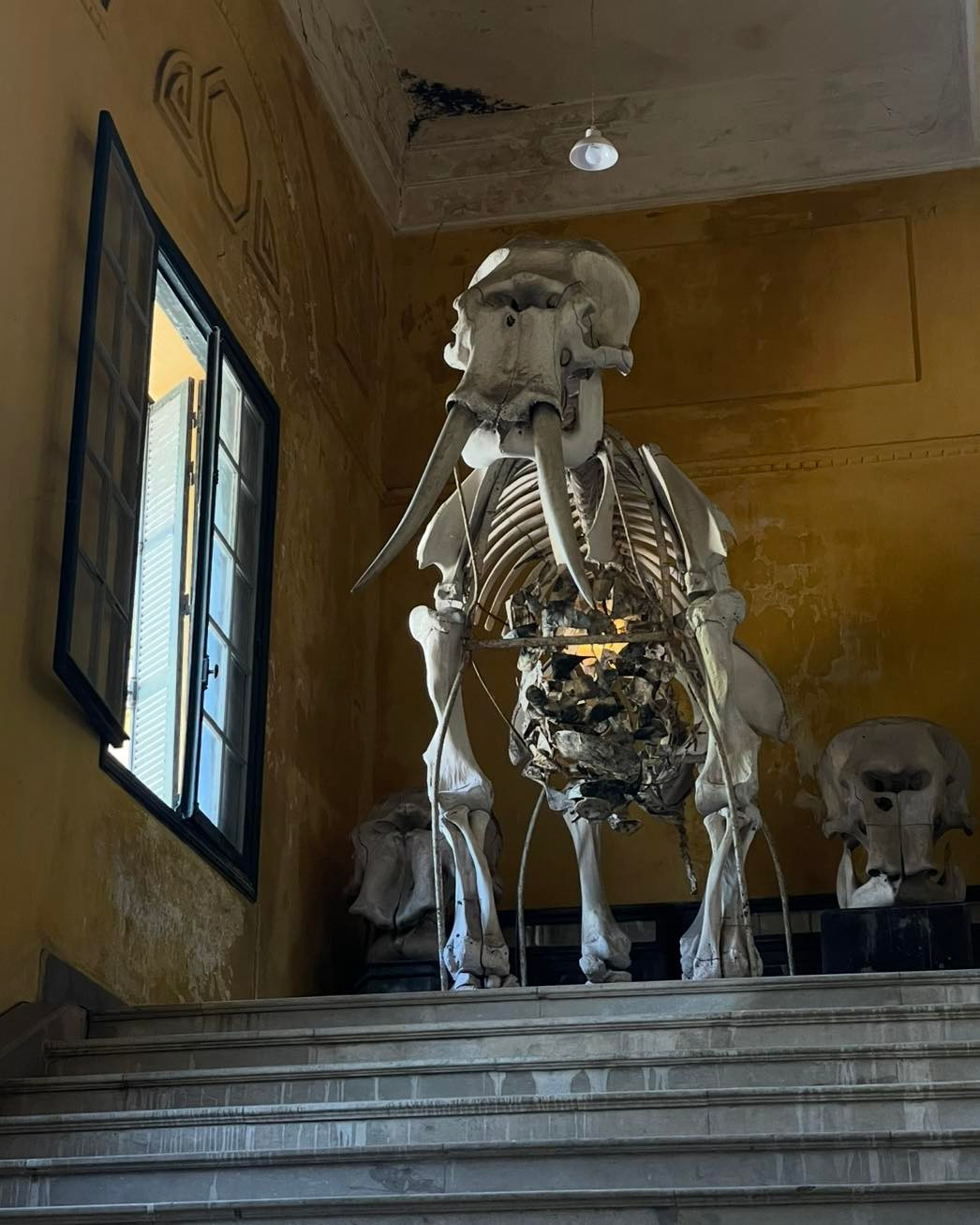 Ảnh: Chốn/ FB Chuyện của Hà Nội