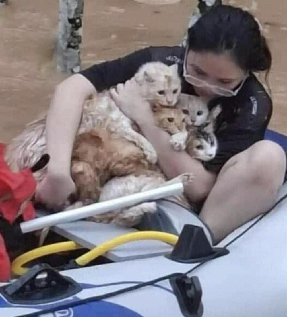 Bức ảnh viral mạng xã hội những ngày này. Bức ảnh viral mạng xã hội những ngày này.