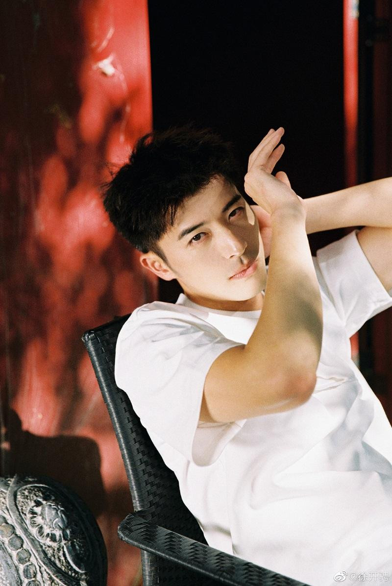 Nhiều fan của Từ Khai Sính đã tuyên bố &quot;thoát fan&quot;, quay lại chỉ trích nam diễn viên.