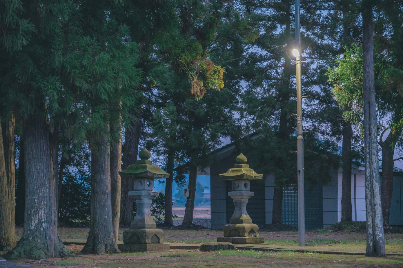 Cảnh chập tối tại Nhật Bản được Akine Coco chụp lại. Đây cũng là những bức ảnh mới nhất được cô cập nhật trên Twitter (X).