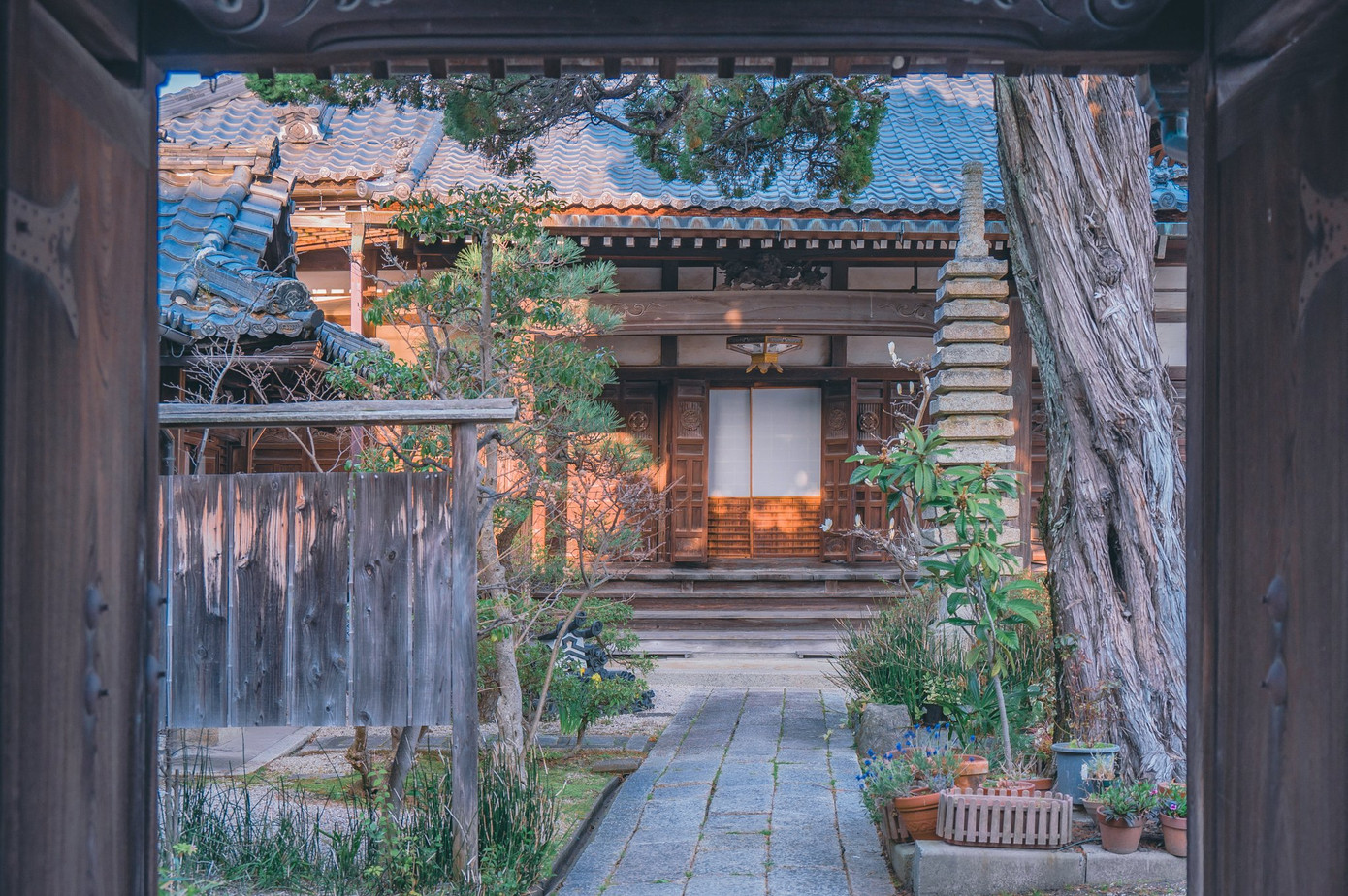 Cảnh chập tối tại Nhật Bản được Akine Coco chụp lại. Đây cũng là những bức ảnh mới nhất được cô cập nhật trên Twitter (X).