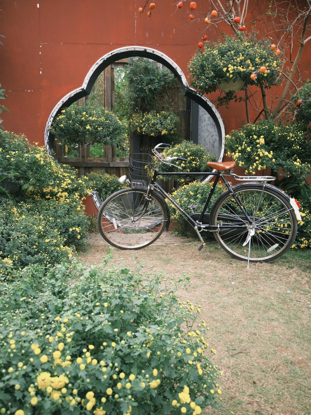 Ảnh: Santorini Park