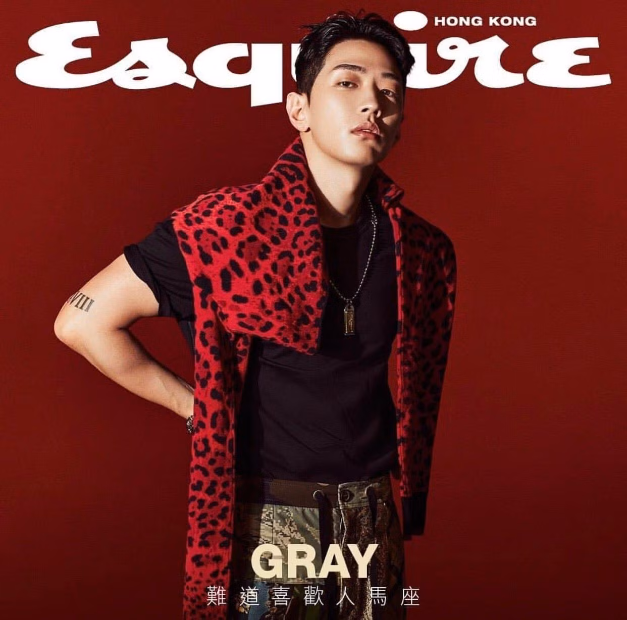 và Gray trên mạng trông ngầu đét thế này.