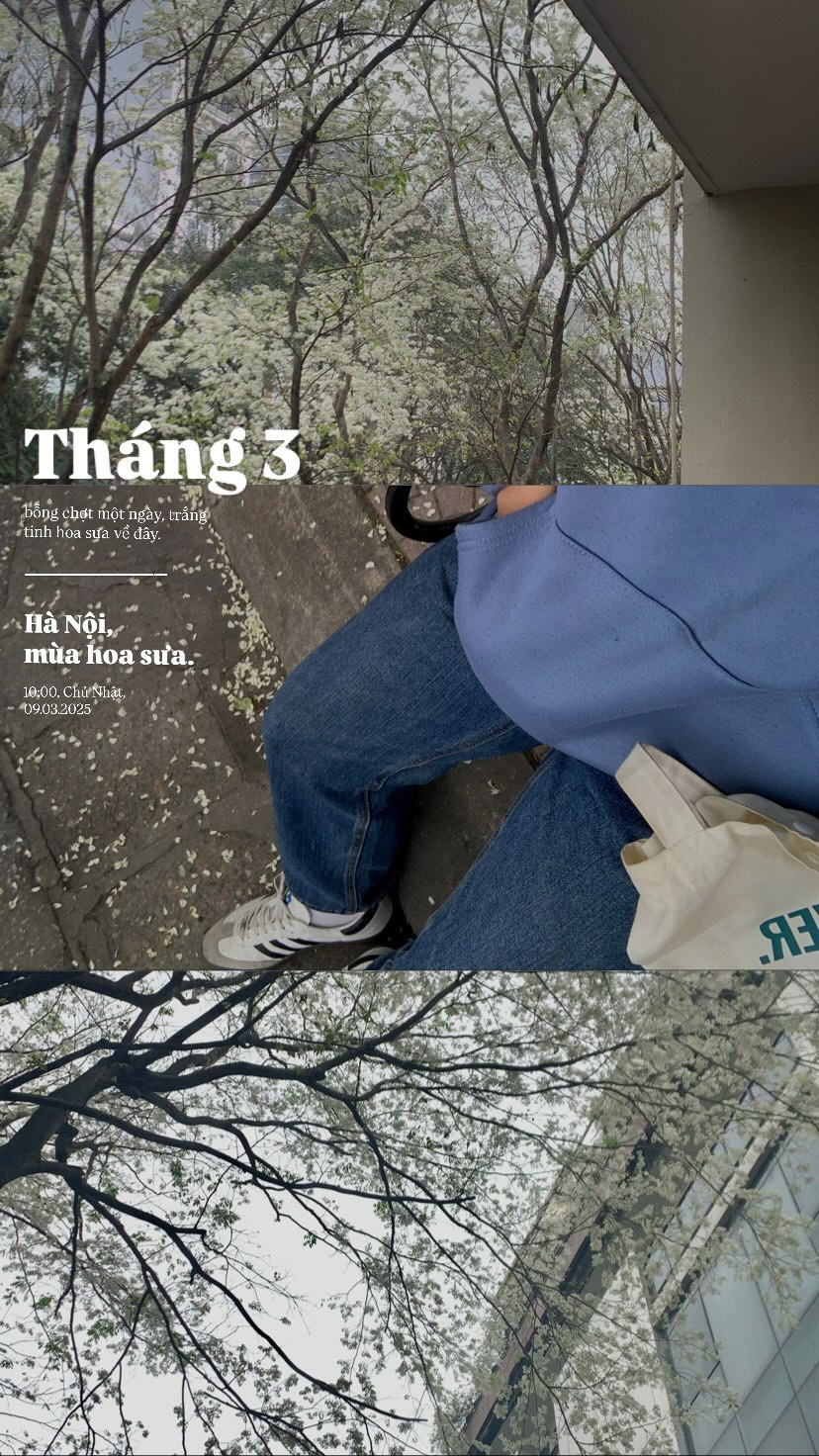 Ảnh: Threads quan_tq