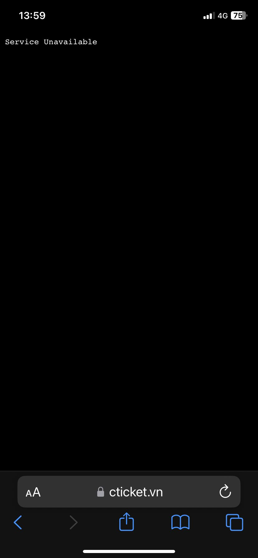 Khoảng 1 phút trước giờ mở bán, trang web bán vé đã "sập" do lượng người truy cập cùng lúc quá cao.