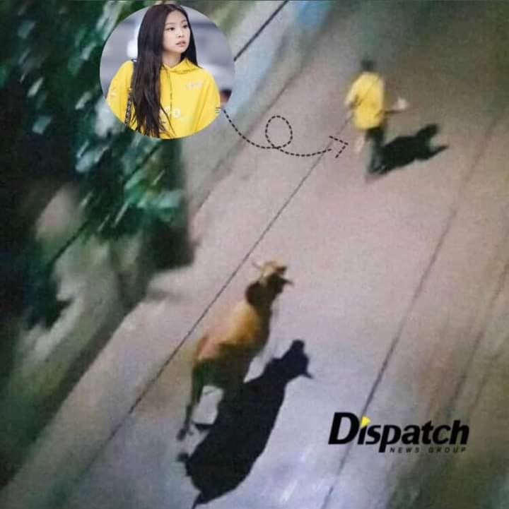 Bóng dáng Jennie vụt qua trong chiếc áo vàng và cũng không "thoát nạn" bị... bò rượt. - Nguồn: Minh Tuyến