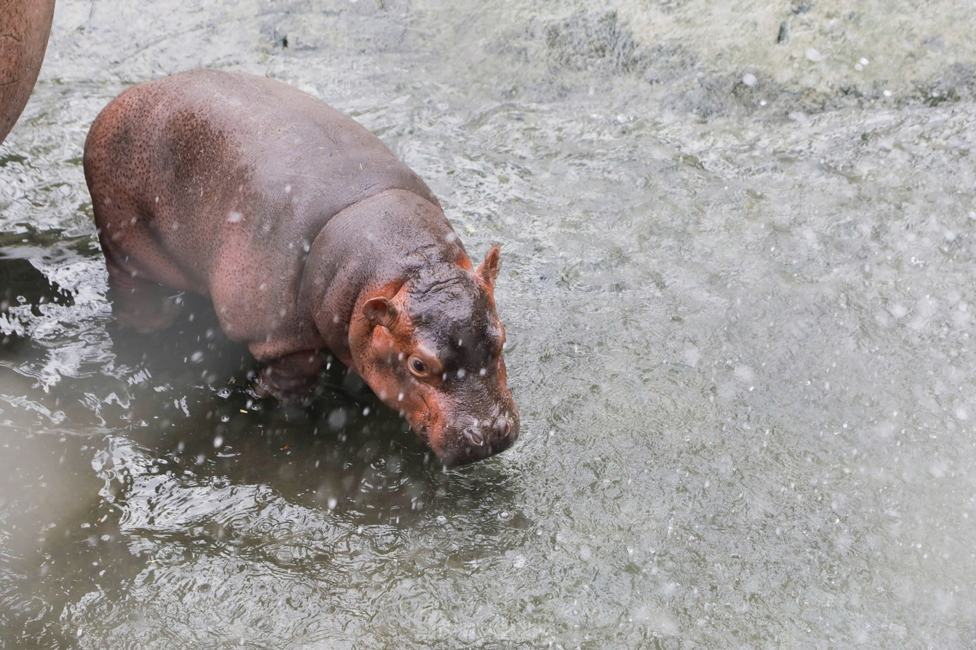 Ảnh: Trọng Tài/ báo Tiền Phong Ảnh: Trọng Tài/ báo Tiền Phong