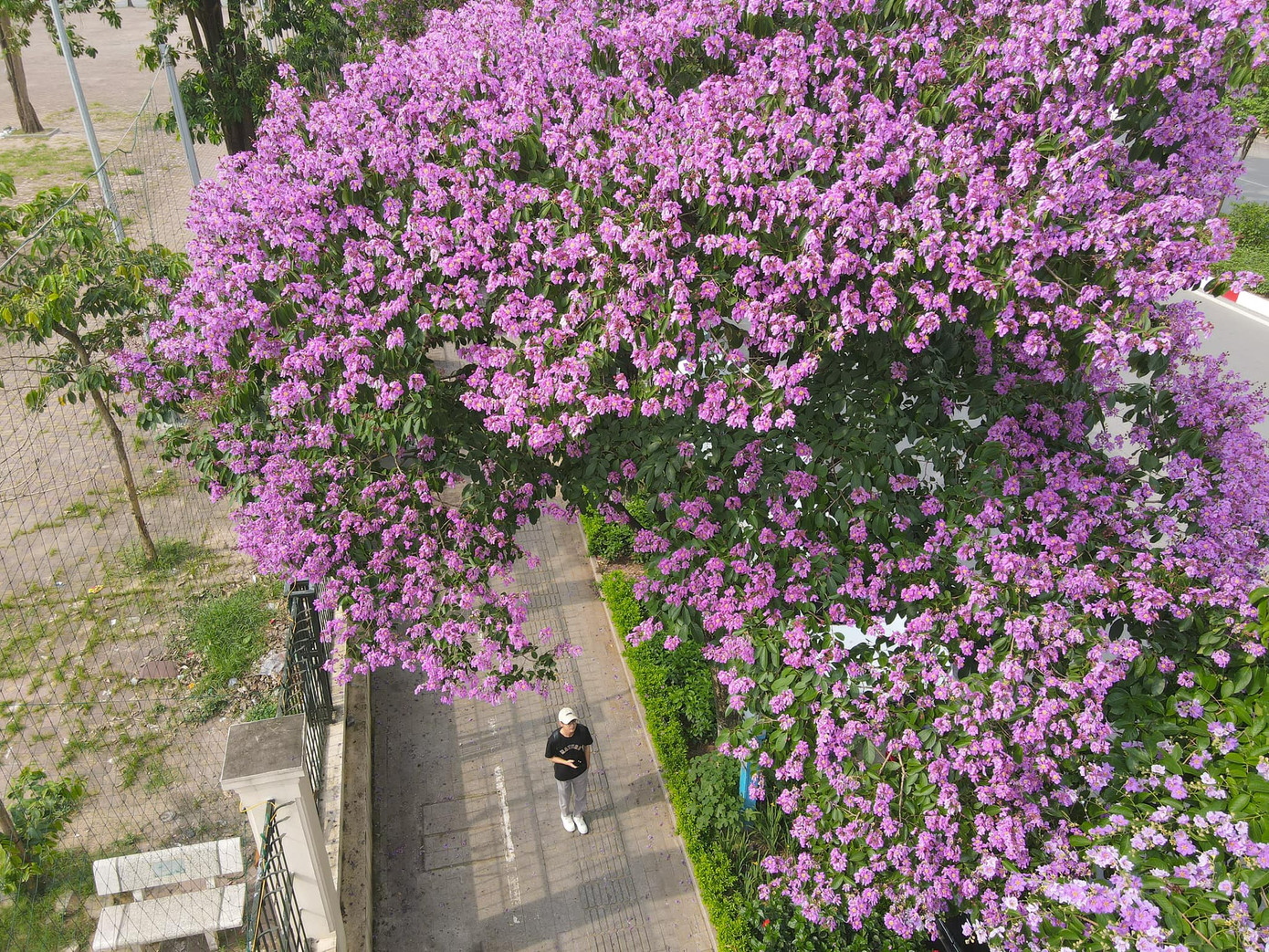 Ảnh: FB Hoàng Hiếu Ảnh: FB Hoàng Hiếu