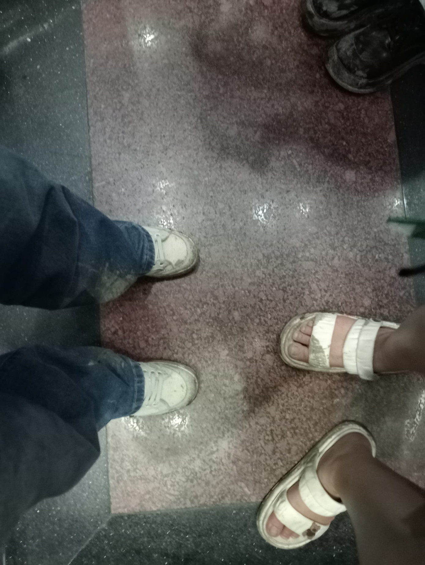 Một "người chơi" là "nạn nhân" của sân cỏ công viên Yên Sở nhưng vẫn hẹn năm sau trở lại. - Ảnh: FB Nguyễn Trang Một "người chơi" là "nạn nhân" của sân cỏ công viên Yên Sở nhưng vẫn hẹn năm sau trở lại. - Ảnh: FB Nguyễn Trang